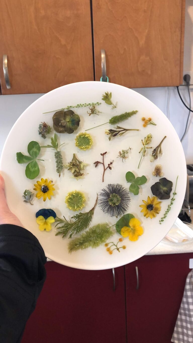 A plate with pressed flowers