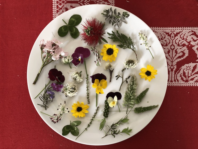 A plate with pressed flowers on red cloth